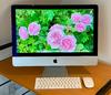 imac_2310_2.jpeg