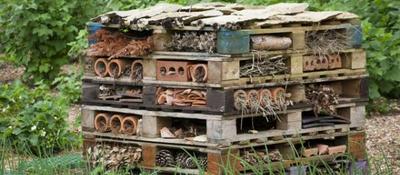 978233_national_trust_images-jonathan_buckley.jpg