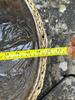 img_5483.jpeg