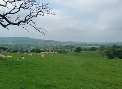 cotswols_3.jpg
