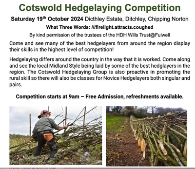 hedgelaying_pic_2.png