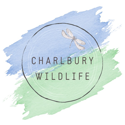 charlbury_wildlife_3_13.png