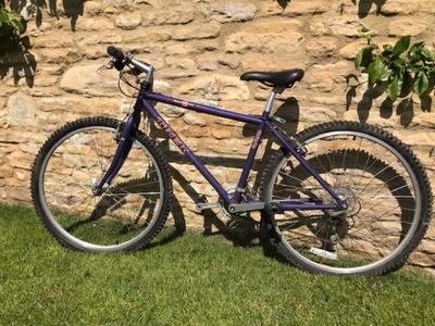 female_adult_bike.jpg