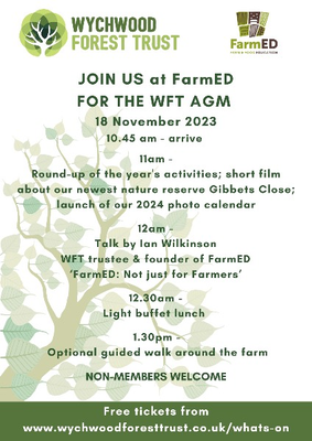 agm-flyer-last.png