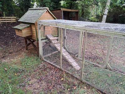 chicken-coop.jpeg