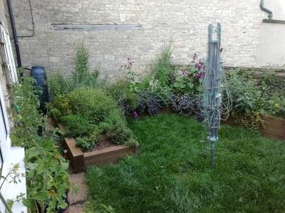 garden.jpg
