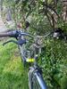 img_7377.jpeg
