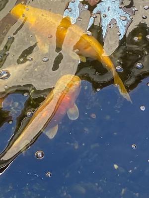 494349f5-986f-4fdb-be85-e5d695f022e0.jpg