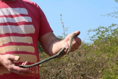 neil_holding_grass_snake.jpg