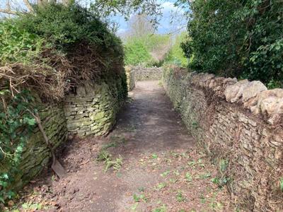 path_clearance_8.jpg