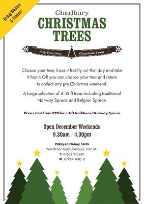 ad_for_charlbury_website_christmas-trees-ad-2018-210mmx297mm_4.jpg