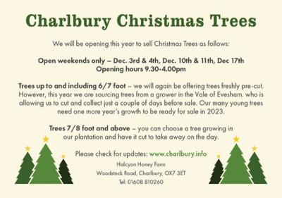 charlbury-christmas-trees-ad-2022-135mmx95mm_2.jpeg
