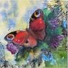 img_4295_2.jpeg