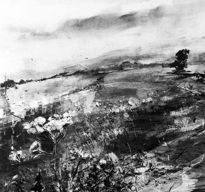 landscape.jpg